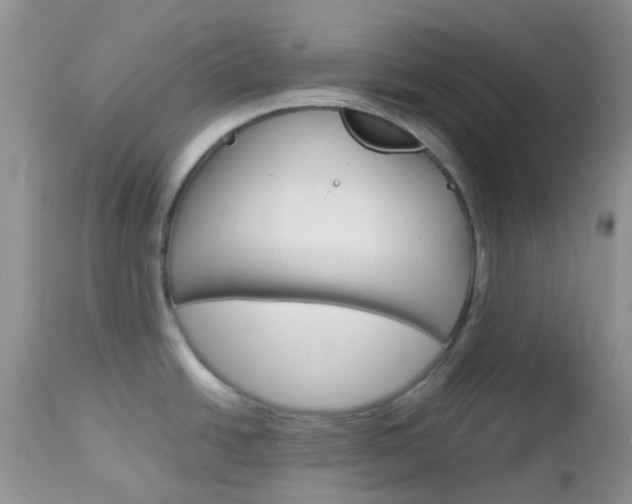 X0000113111438200908281006
