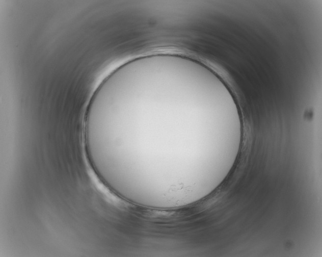 X0000113111439200908281006