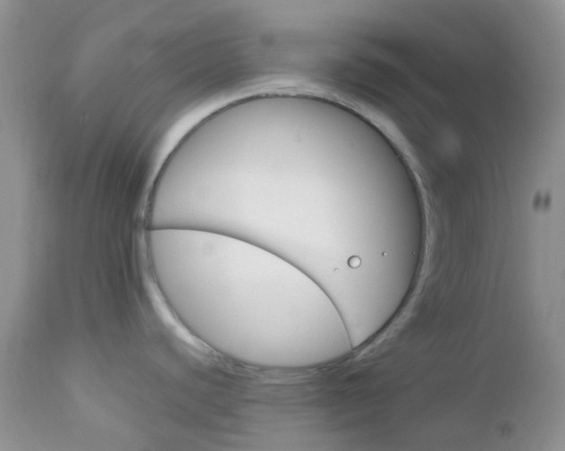 X0000113111440200908281006