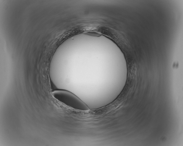 X0000113111441200908281006