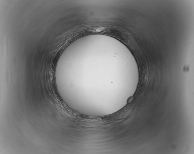 X0000113111442200908281006