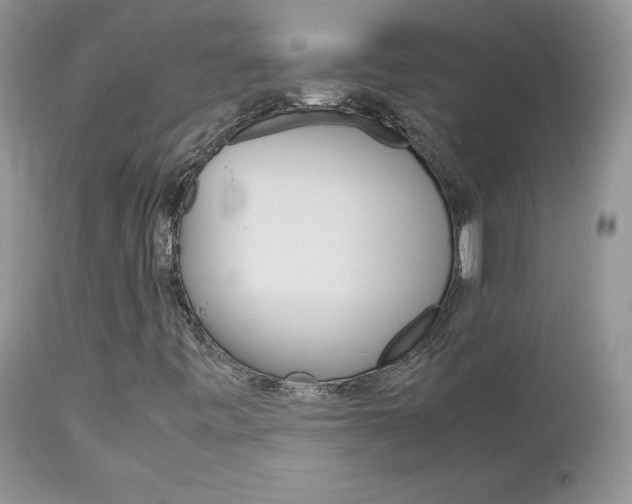 X0000113111443200908281006