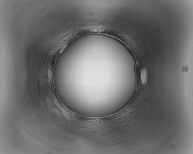 X0000113111444200908281005