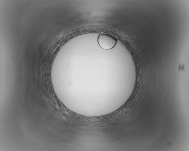 X0000113111445200908281005