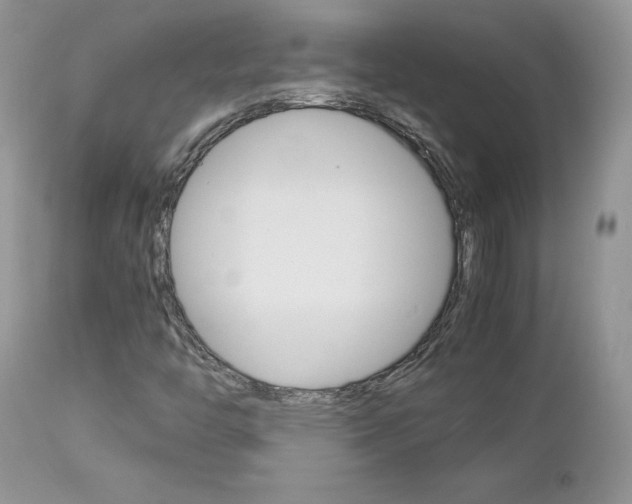 X0000113111446200908281005