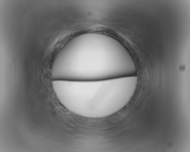 X0000113111447200908281005