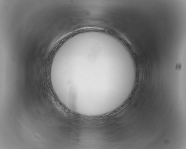 X0000113111448200908281005