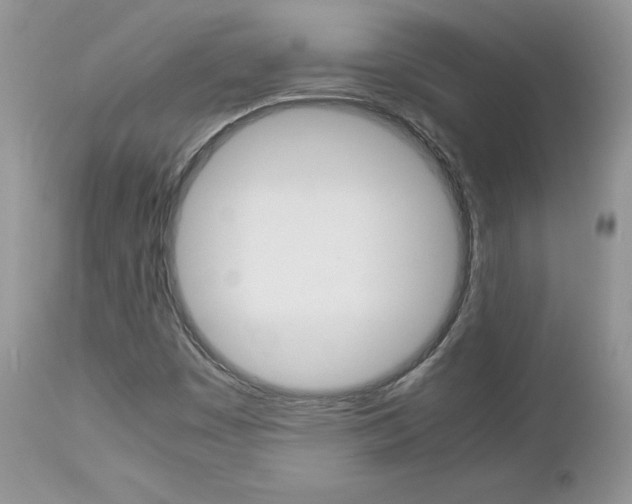 X0000113111449200908281005