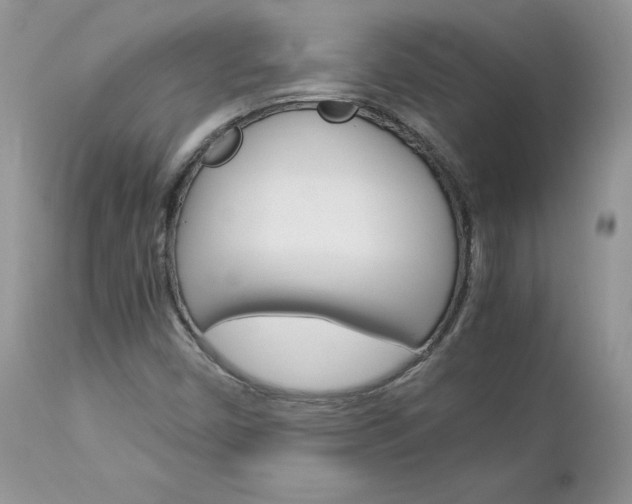 X0000113111450200908281005