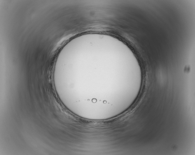 X0000113111451200908281005
