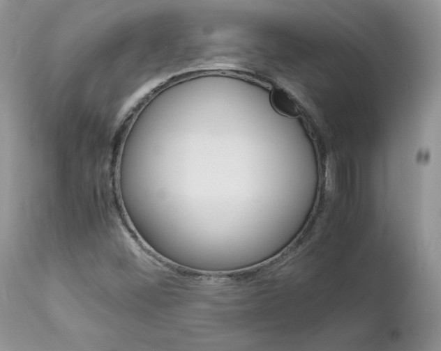 X0000113111452200908281005