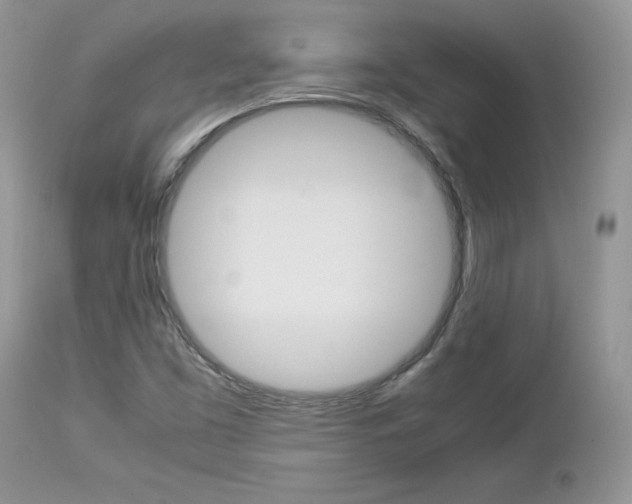 X0000113111453200908281005