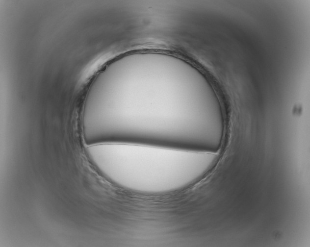 X0000113111455200908281005