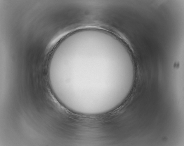 X0000113111456200908281005