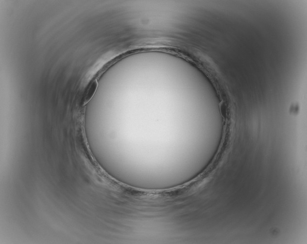X0000113111457200908281005