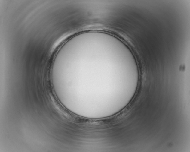 X0000113111458200908281005
