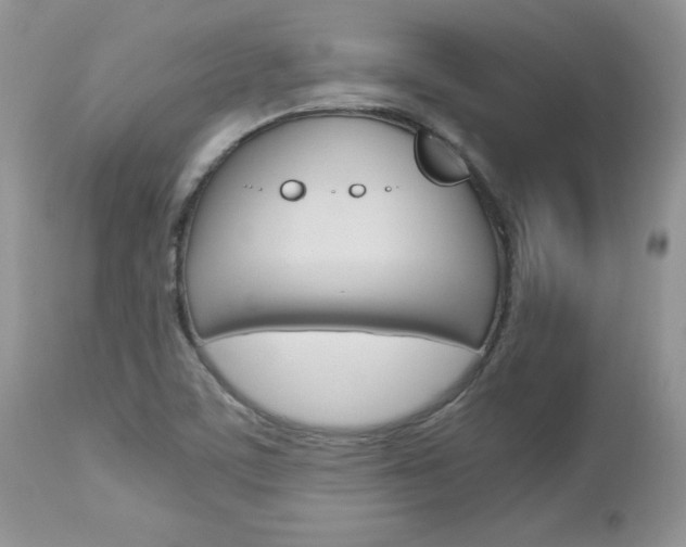 X0000113111459200908281005
