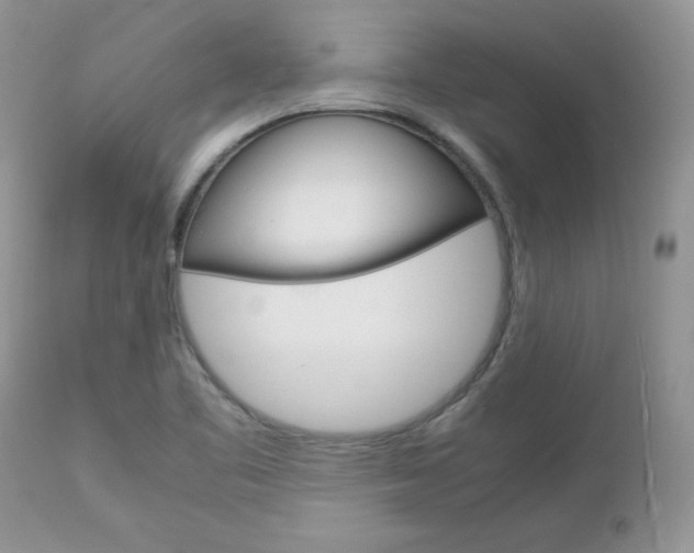 X0000113111461200908281005