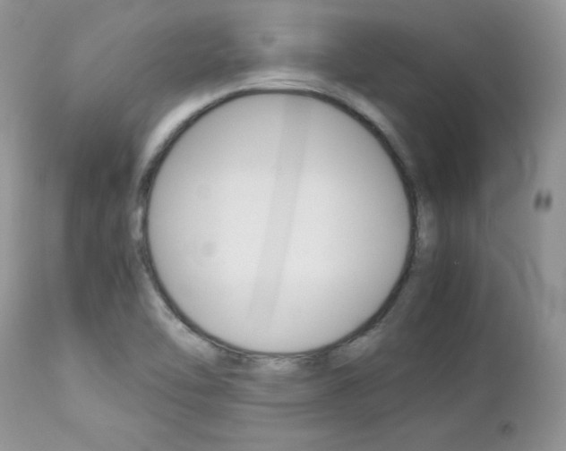 X0000113111462200908281005