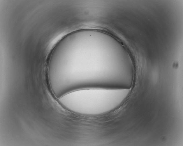 X0000113111463200908281005