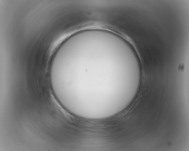 X0000113111464200908281005