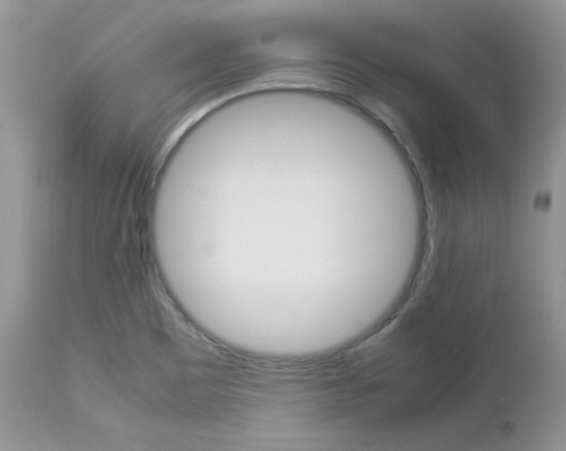 X0000113111465200908281005