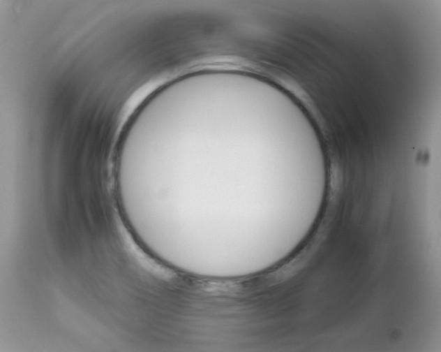 X0000113111466200908281005