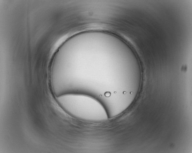 X0000113111467200908281005