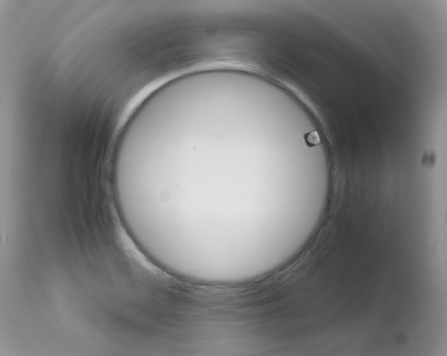 X0000113111468200908281005