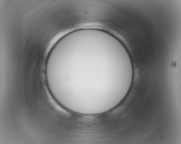 X0000113111470200908281005