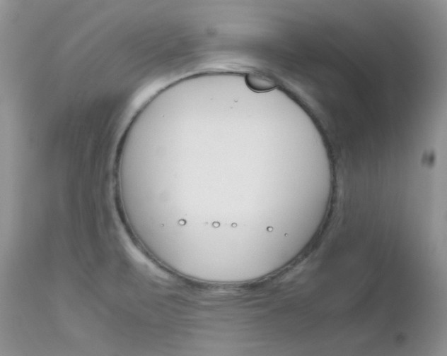 X0000113111471200908281005