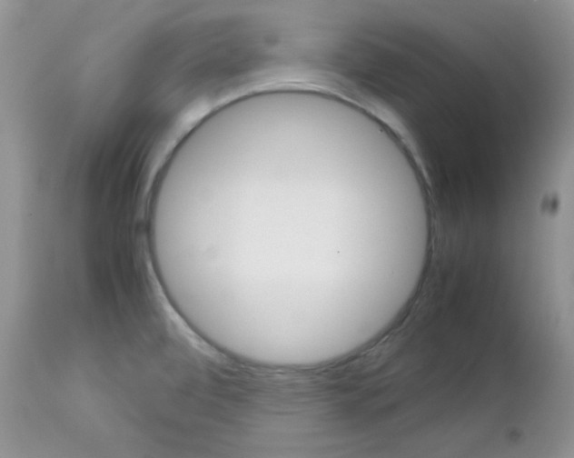 X0000113111472200908281005