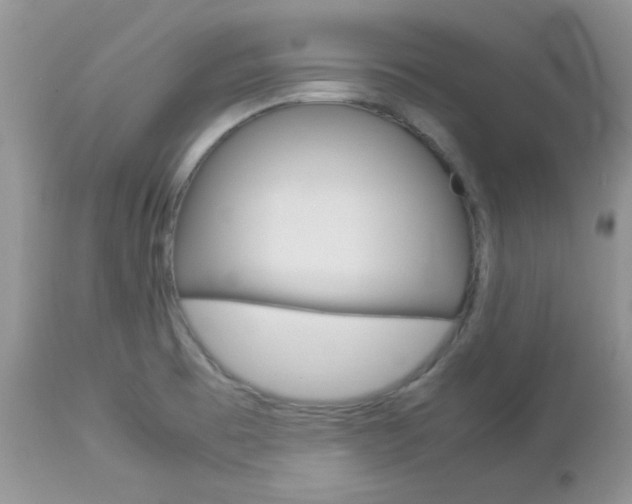 X0000113111473200908281005