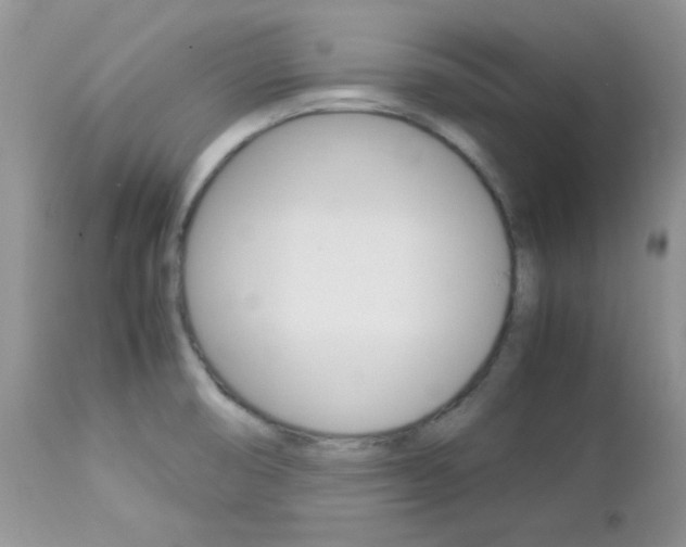 X0000113111474200908281005