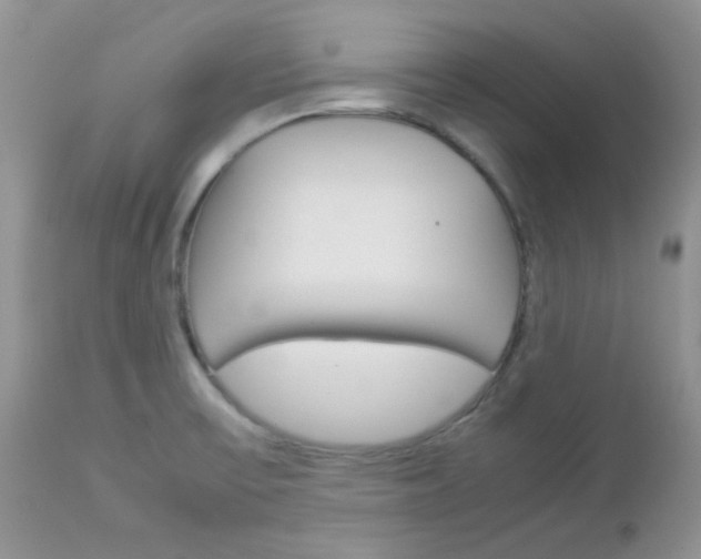 X0000113111475200908281005