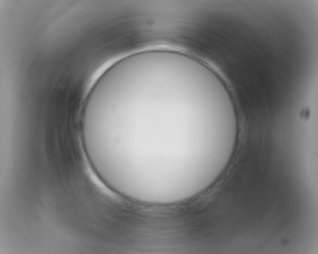 X0000113111476200908281005