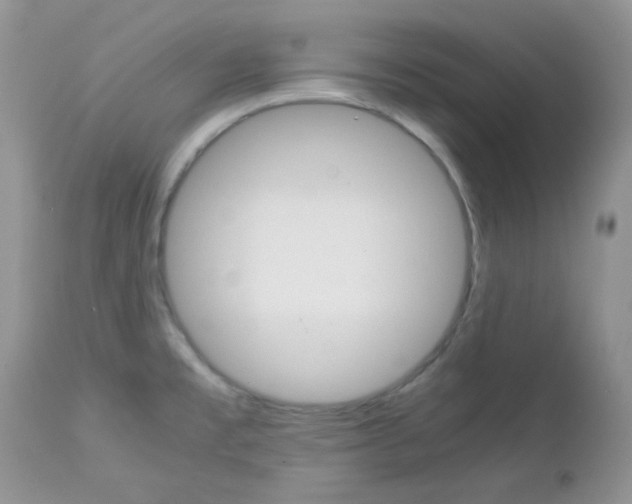 X0000113111477200908281005