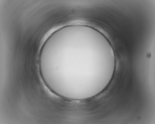 X0000113111478200908281005