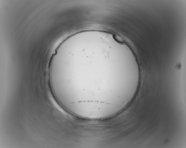 X0000113111479200908281005