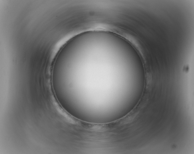 X0000113111480200908281005