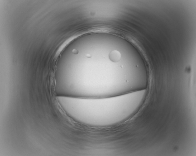 X0000113111481200908281005