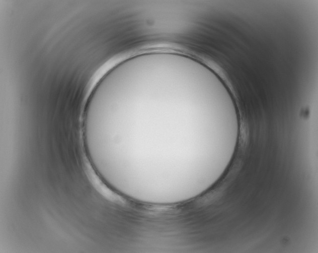 X0000113111482200908281005