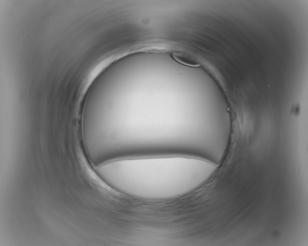 X0000113111483200908281005
