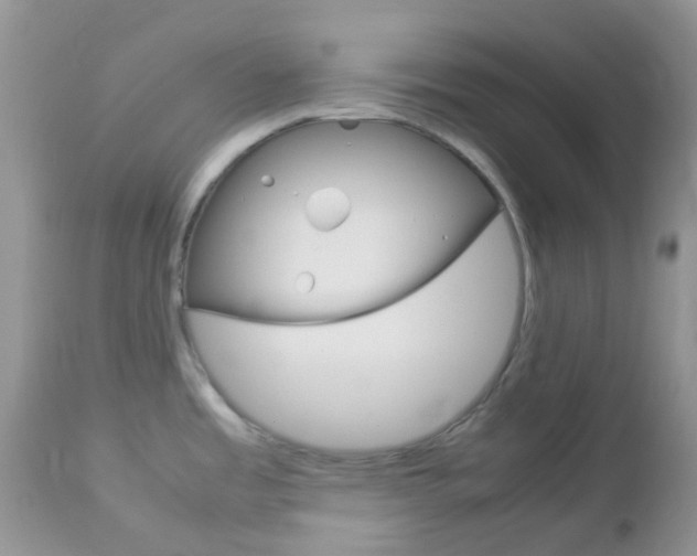 X0000113111485200908281005