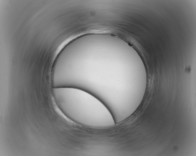 X0000113111487200908281005