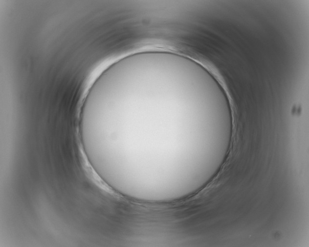 X0000113111488200908281005