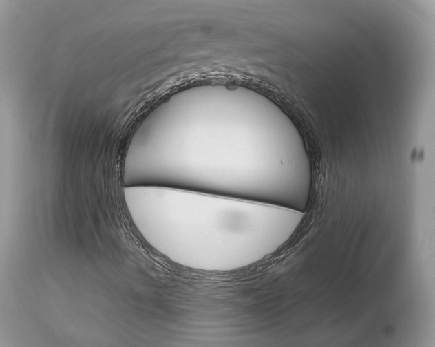 X0000113111490200908281004