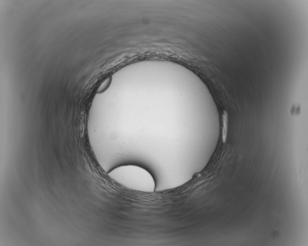 X0000113111491200908281004