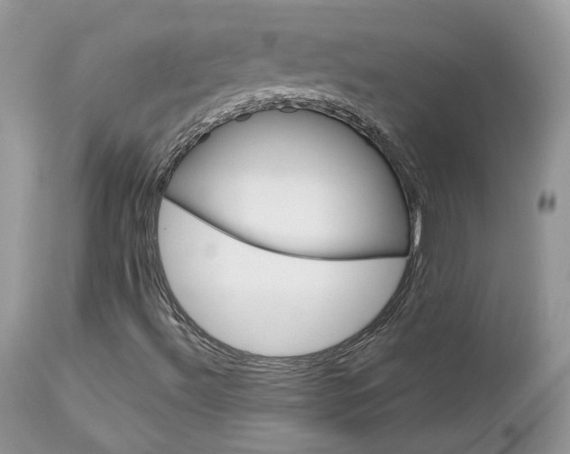 X0000113111492200908281004