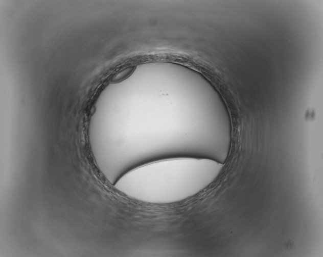 X0000113111493200908281004